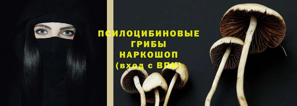 MDMA Бородино